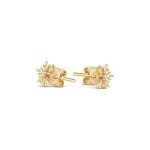 Snowflake Magic Earrings