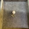 Lunar Zodiac Pearl Pendant - Ox