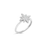Tara Ring