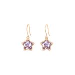 North Star Earrings