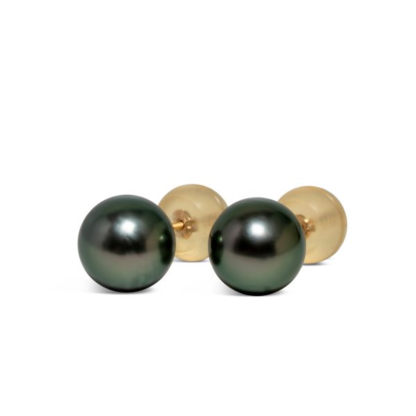 Tahitian Pearl Ear Studs
