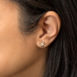 Guiding Star Ear Studs