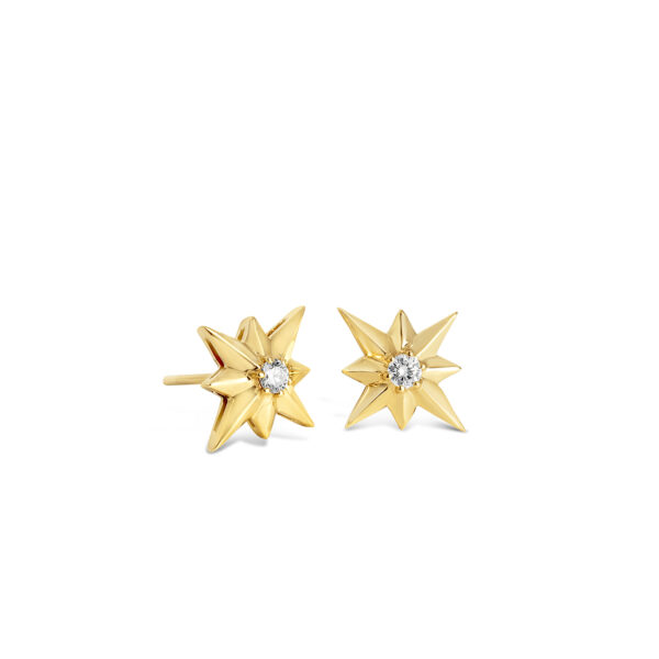 Guiding Star Ear Studs
