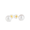 Freshwater White Pearl Ear Studs