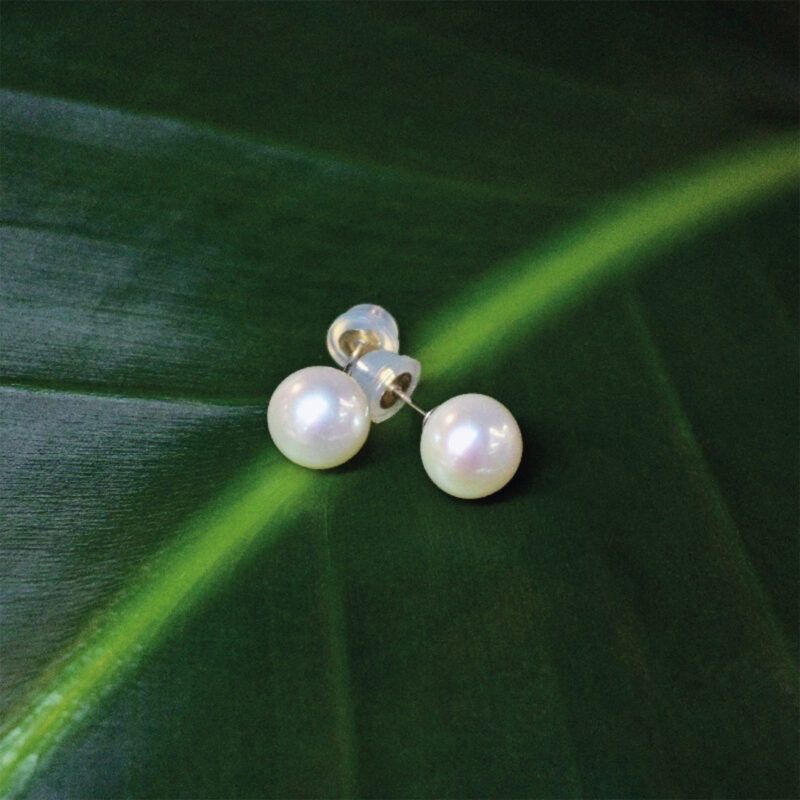 Freshwater White Pearl Ear Studs